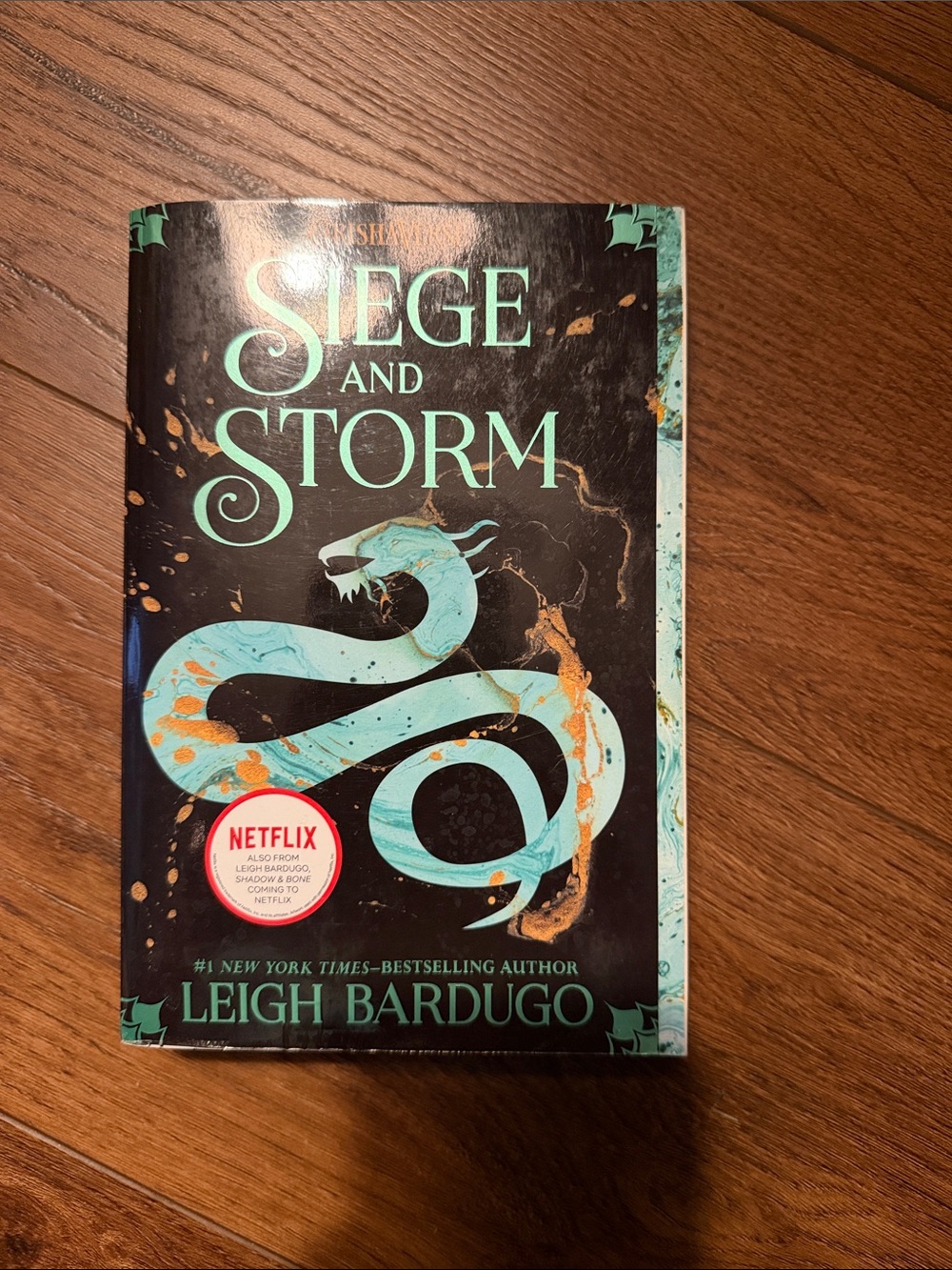 Siege and Storm - Black & Teal Book